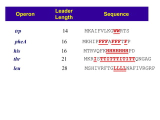Operon
Leader
Length
Sequence
trp 14 MKAIFVLKGWWRTS
pheA 16 MKHIPFFFAFFFTFP
his 16 MTRVQFKHHHHHHHPD
thr 21 MKRISTTITTTITITTQNGAG
leu 28 MSHIVRFTGLLLLNAFIVRGRP
 