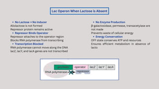 Gene Regulation and lac operon model in E.Coli