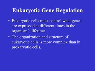 Gene Regulation and Mutation.ppt Science | PPT