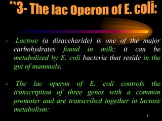 1
- Lactose (a disaccharide) is one of the major
carbohydrates found in milk; it can be
metabolized by E. coli bacteria that reside in the
gut of mammals.
- The lac operon of E. coli controls the
transcription of three genes with a common
promoter and are transcribed together in lactose
metabolism:
 