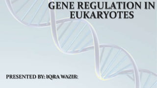 GENE REGULATION IN
EUKARYOTES
PRESENTED BY: IQRA WAZIR
 