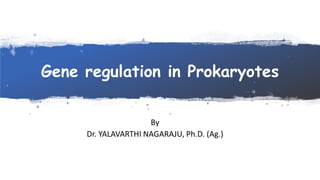 Gene regulation in Prokaryotes
By
Dr. YALAVARTHI NAGARAJU, Ph.D. (Ag.)
 