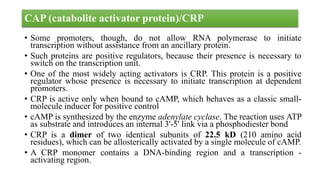 Gene regulation in Prokaryotes.pptx