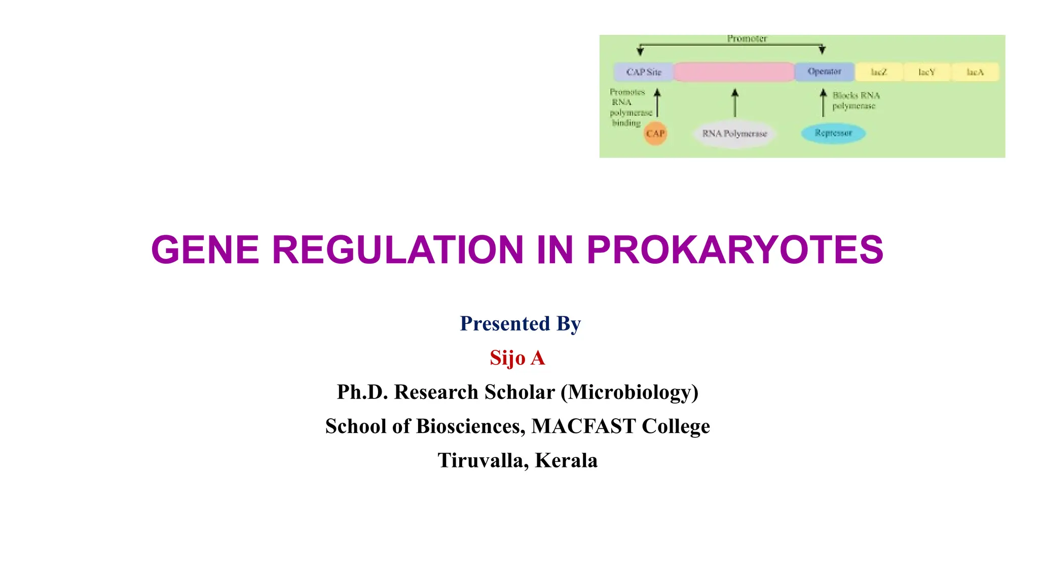 Gene Regulation in Prokaryotes (Exam point of view).pptx