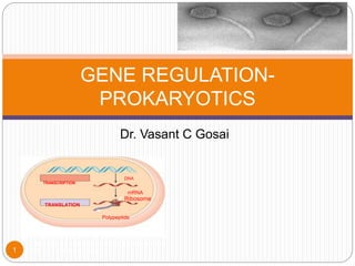 Dr. Vasant C Gosai
1
GENE REGULATION-
PROKARYOTICS
Prokaryotic cell. In a cell lacking a nucleus, mRNA
produced by transcription is immediately translated
without additional processing.
(a)
TRANSLATION
TRANSCRIPTION
DNA
mRNA
Ribosome
Polypeptide
 
