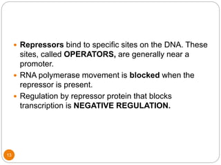 13
 Repressors bind to specific sites on the DNA. These
sites, called OPERATORS, are generally near a
promoter.
 RNA polymerase movement is blocked when the
repressor is present.
 Regulation by repressor protein that blocks
transcription is NEGATIVE REGULATION.
 