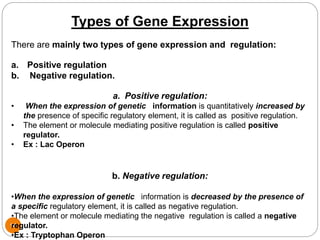 14
Types of Gene Expression
There are mainly two types of gene expression and regulation:
a. Positive regulation
b. Negative regulation.
a. Positive regulation:
• When the expression of genetic information is quantitatively increased by
the presence of specific regulatory element, it is called as positive regulation.
• The element or molecule mediating positive regulation is called positive
regulator.
• Ex : Lac Operon
b. Negative regulation:
•When the expression of genetic information is decreased by the presence of
a specific regulatory element, it is called as negative regulation.
•The element or molecule mediating the negative regulation is called a negative
regulator.
•Ex : Tryptophan Operon
 
