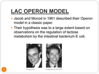 LAC OPERON MODEL
16
 Jacob and Monod in 1961 described their Operon
model in a classic paper.
 Their hypothesis was to a large extent based on
observations on the regulation of lactose
metabolism by the intestinal bacterium E coli.
 