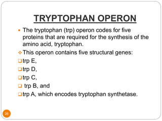 TRYPTOPHAN OPERON
26
 The tryptophan (trp) operon codes for five
proteins that are required for the synthesis of the
amino acid, tryptophan.
This operon contains five structural genes:
trp E,
trp D,
trp C,
 trp B, and
trp A, which encodes tryptophan synthetase.
 