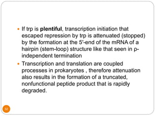 32
 If trp is plentiful, transcription initiation that
escaped repression by trp is attenuated (stopped)
by the formation at the 5′-end of the mRNA of a
hairpin (stem-loop) structure like that seen in ρ-
independent termination
 Transcription and translation are coupled
processes in prokaryotes , therefore attenuation
also results in the formation of a truncated,
nonfunctional peptide product that is rapidly
degraded.
 