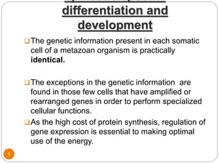 differentiation and
development
5
The genetic information present in each somatic
cell of a metazoan organism is practically
identical.
The exceptions in the genetic information are
found in those few cells that have amplified or
rearranged genes in order to perform specialized
cellular functions.
As the high cost of protein synthesis, regulation of
gene expression is essential to making optimal
use of the energy.
 