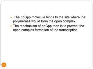 50
 The ppGpp molecule binds to the site where the
polymerase would form the open complex.
 The mechanism of ppGpp then is to prevent the
open complex formation of the transcription.
 