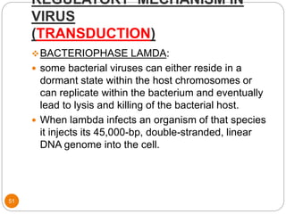 REGULATORY MECHANISM IN
VIRUS
(TRANSDUCTION)
51
BACTERIOPHASE LAMDA:
 some bacterial viruses can either reside in a
dormant state within the host chromosomes or
can replicate within the bacterium and eventually
lead to lysis and killing of the bacterial host.
 When lambda infects an organism of that species
it injects its 45,000-bp, double-stranded, linear
DNA genome into the cell.
 