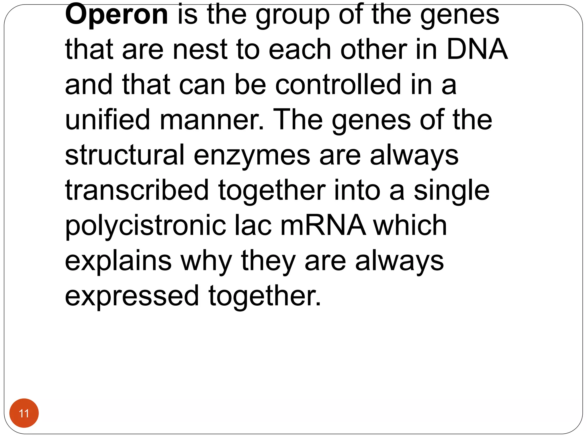 Gene regulation in prokaryotes | PPTX