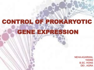 CONTROL OF PROKARYOTIC
GENE EXPRESSION
NEHA AGARWAL
155066
B.SC. HONS
DEI , AGRA
 