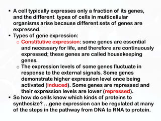  A cell typically expresses only a fraction of its genes,
  and the different types of cells in multicellular
  organisms arise because different sets of genes are
  expressed.
 Types of gene expression:
   o Constitutive expression: some genes are essential
      and necessary for life, and therefore are continuously
      expressed; these genes are called housekeeping
      genes.
   o The expression levels of some genes fluctuate in
      response to the external signals. Some genes
      demonstrate higher expression level once being
      activated (induced). Some genes are repressed and
      their expression levels are lower (repressed).
 So how do cells know which kinds of proteins to
  synthesize? …gene expression can be regulated at many
  of the steps in the pathway from DNA to RNA to protein.
 