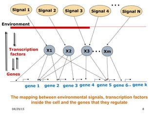 Gene regulatory networks | PPT