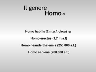 [object Object],Il genere Homo  [1] [2] 
