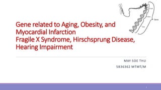 Gene related to Aging, Obesity, and
Myocardial Infarction
Fragile X Syndrome, Hirschsprung Disease,
Hearing Impairment
MAY SOE THU
5836362 MTMT/M
1
 