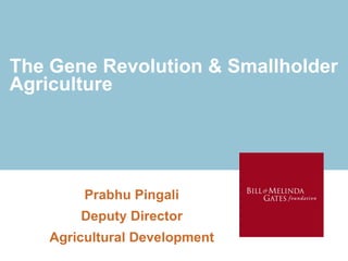 The Gene Revolution & Smallholder
Agriculture




         Prabhu Pingali
        Deputy Director
    Agricultural Development
 