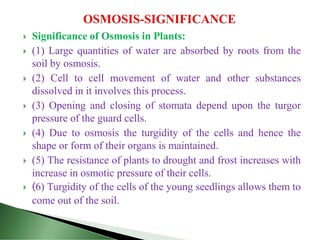  Significance of Osmosis in Plants:
 (1) Large quantities of water are absorbed by roots from the
soil by osmosis.
 (2) Cell to cell movement of water and other substances
dissolved in it involves this process.
 (3) Opening and closing of stomata depend upon the turgor
pressure of the guard cells.
 (4) Due to osmosis the turgidity of the cells and hence the
shape or form of their organs is maintained.
 (5) The resistance of plants to drought and frost increases with
increase in osmotic pressure of their cells.
 (6) Turgidity of the cells of the young seedlings allows them to
come out of the soil.
 