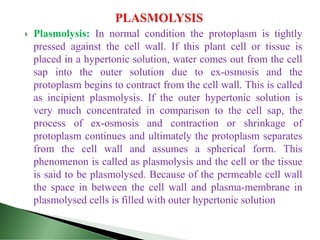  Plasmolysis: In normal condition the protoplasm is tightly
pressed against the cell wall. If this plant cell or tissue is
placed in a hypertonic solution, water comes out from the cell
sap into the outer solution due to ex-osmosis and the
protoplasm begins to contract from the cell wall. This is called
as incipient plasmolysis. If the outer hypertonic solution is
very much concentrated in comparison to the cell sap, the
process of ex-osmosis and contraction or shrinkage of
protoplasm continues and ultimately the protoplasm separates
from the cell wall and assumes a spherical form. This
phenomenon is called as plasmolysis and the cell or the tissue
is said to be plasmolysed. Because of the permeable cell wall
the space in between the cell wall and plasma-membrane in
plasmolysed cells is filled with outer hypertonic solution
 