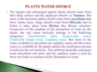  The aquatic and submerged aquatic plants absorb water from
their body surface and the epiphytes absorb via Velamen. But
most of the terrestrial plants absorb water from unicellular root
hairs. Some moss, fungi absorb water from Rhizoids and in
lichen it takes place from Rhizine like fibrous structure.
Irrespective of the medium of the absorption of water by the
plants, the soil water basically belongs to the following
categories- Gravitational water, Hygroscopic water,
Chemically bound water, Capillary water. But most of the
water available by the plants are capillary water and this water
source is available by the plants amidst the small pores present
in between the soil particles. The epiblema basically originates
some unicellular root hairs and the capillary water is used by
these root hairs as medium of the absorption of water
 