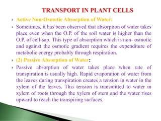  Active Non-Osmotic Absorption of Water:
 Sometimes, it has been observed that absorption of water takes
place even when the O.P. of the soil water is higher than the
O.P. of cell-sap. This type of absorption which is non- osmotic
and against the osmotic gradient requires the expenditure of
metabolic energy probably through respiration.
 (2) Passive Absorption of Water:
 Passive absorption of water takes place when rate of
transpiration is usually high. Rapid evaporation of water from
the leaves during transpiration creates a tension in water in the
xylem of the leaves. This tension is transmitted to water in
xylem of roots through the xylem of stem and the water rises
upward to reach the transpiring surfaces.
 