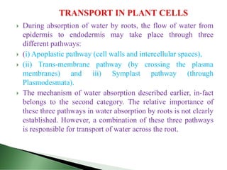  During absorption of water by roots, the flow of water from
epidermis to endodermis may take place through three
different pathways:
 (i) Apoplastic pathway (cell walls and intercellular spaces),
 (ii) Trans-membrane pathway (by crossing the plasma
membranes) and iii) Symplast pathway (through
Plasmodesmata).
 The mechanism of water absorption described earlier, in-fact
belongs to the second category. The relative importance of
these three pathways in water absorption by roots is not clearly
established. However, a combination of these three pathways
is responsible for transport of water across the root.
 