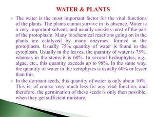  The water is the most important factor for the vital functions
of the plants. The plants cannot survive in its absence. Water is
a very important solvent, and usually consists most of the part
of the protoplasm. Many biochemical reactions going on in the
plants are catalyzed by many enzymes, formed in the
protoplasm. Usually 75% quantity of water is found in the
cytoplasm. Usually in the leaves, the quantity of water is 75%,
whereas in the stems it is 60%. In several hydrophytes, e.g.,
algae, etc., this quantity exceeds up to 98%. In the same way,
the quantity of water in the xerophytes is usually 60% or lesser
than this.
 In the dormant seeds, this quantity of water is only about 10%.
This is, of course very much less for any vital function, and
therefore, the germination of these seeds is only then possible,
when they get sufficient moisture.
 
