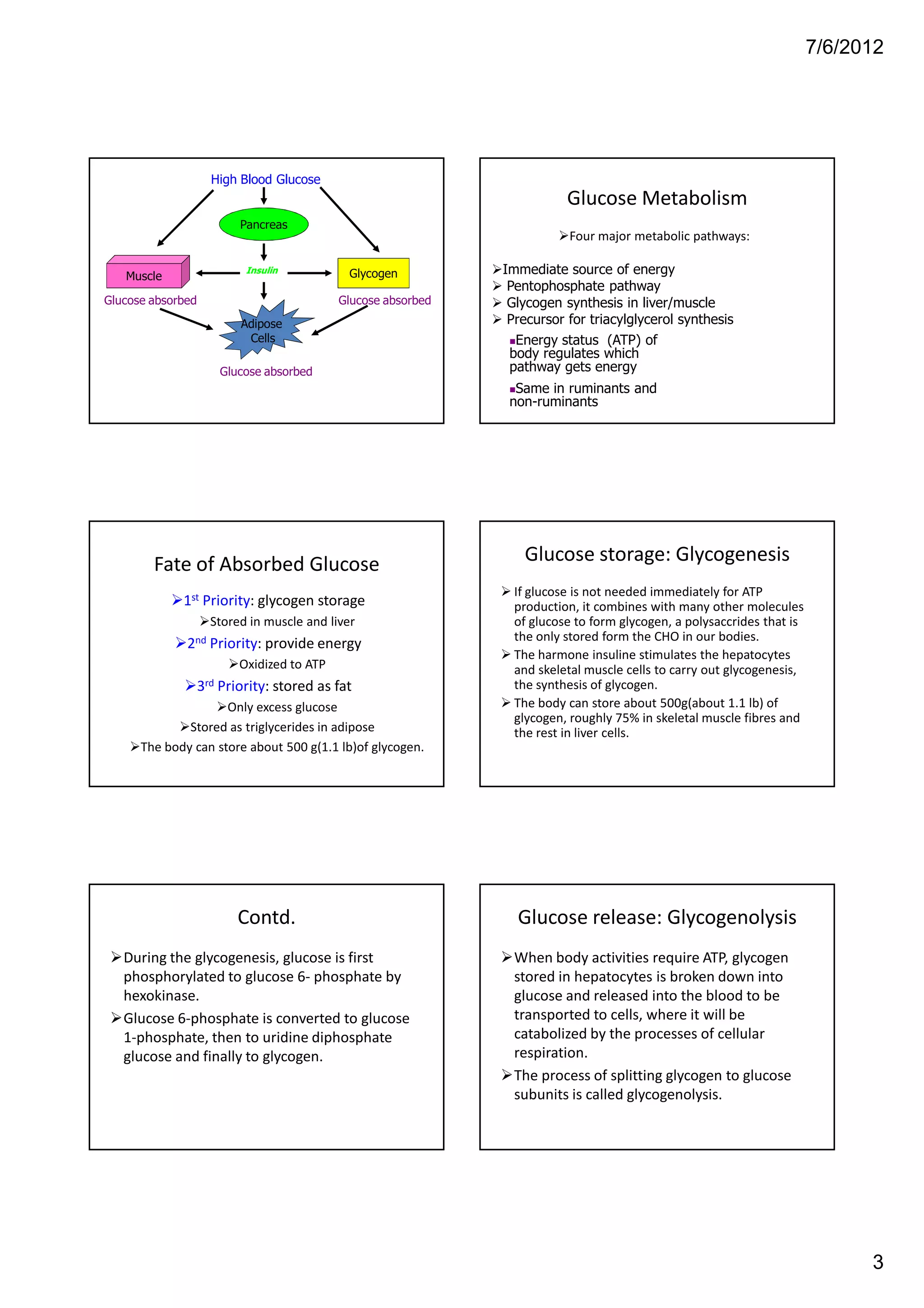 7/6/2012




                     High Blood Glucose
                                                                            Glucose Metabolism
                            Pancreas
                                                                            Four major metabolic pathways:

   Muscle
                             Insulin           Glycogen          Immediate source of energy
                                                                  Pentophosphate pathway
Glucose absorbed                              Glucose absorbed    Glycogen synthesis in liver/muscle
                             Adipose                              Precursor for triacylglycerol synthesis
                              Cells                                Energy status (ATP) of
                                                                  body regulates which
                         Glucose absorbed                         pathway gets energy
                                                                   Same in ruminants and
                                                                  non-ruminants




        Fate of Absorbed Glucose                                    Glucose storage: Glycogenesis
                                                                  If glucose is not needed immediately for ATP
             1st Priority: glycogen storage                       production, it combines with many other molecules
                     Stored in muscle and liver                   of glucose to form glycogen, a polysaccrides that is
                                                                  the only stored form the CHO in our bodies.
              2nd    Priority: provide energy
                                                                  The harmone insuline stimulates the hepatocytes
                            Oxidized to ATP                       and skeletal muscle cells to carry out glycogenesis,
                   3rd   Priority: stored as fat                  the synthesis of glycogen.
                     Only excess glucose                          The body can store about 500g(about 1.1 lb) of
                                                                  glycogen, roughly 75% in skeletal muscle fibres and
              Stored as triglycerides in adipose                  the rest in liver cells.
      The body can store about 500 g(1.1 lb)of glycogen.




                            Contd.                                 Glucose release: Glycogenolysis
   During the glycogenesis, glucose is first                      When body activities require ATP, glycogen
   phosphorylated to glucose 6- phosphate by                      stored in hepatocytes is broken down into
   hexokinase.                                                    glucose and released into the blood to be
   Glucose 6-phosphate is converted to glucose                    transported to cells, where it will be
   1-phosphate, then to uridine diphosphate                       catabolized by the processes of cellular
   glucose and finally to glycogen.                               respiration.
                                                                  The process of splitting glycogen to glucose
                                                                  subunits is called glycogenolysis.




                                                                                                                               3
 