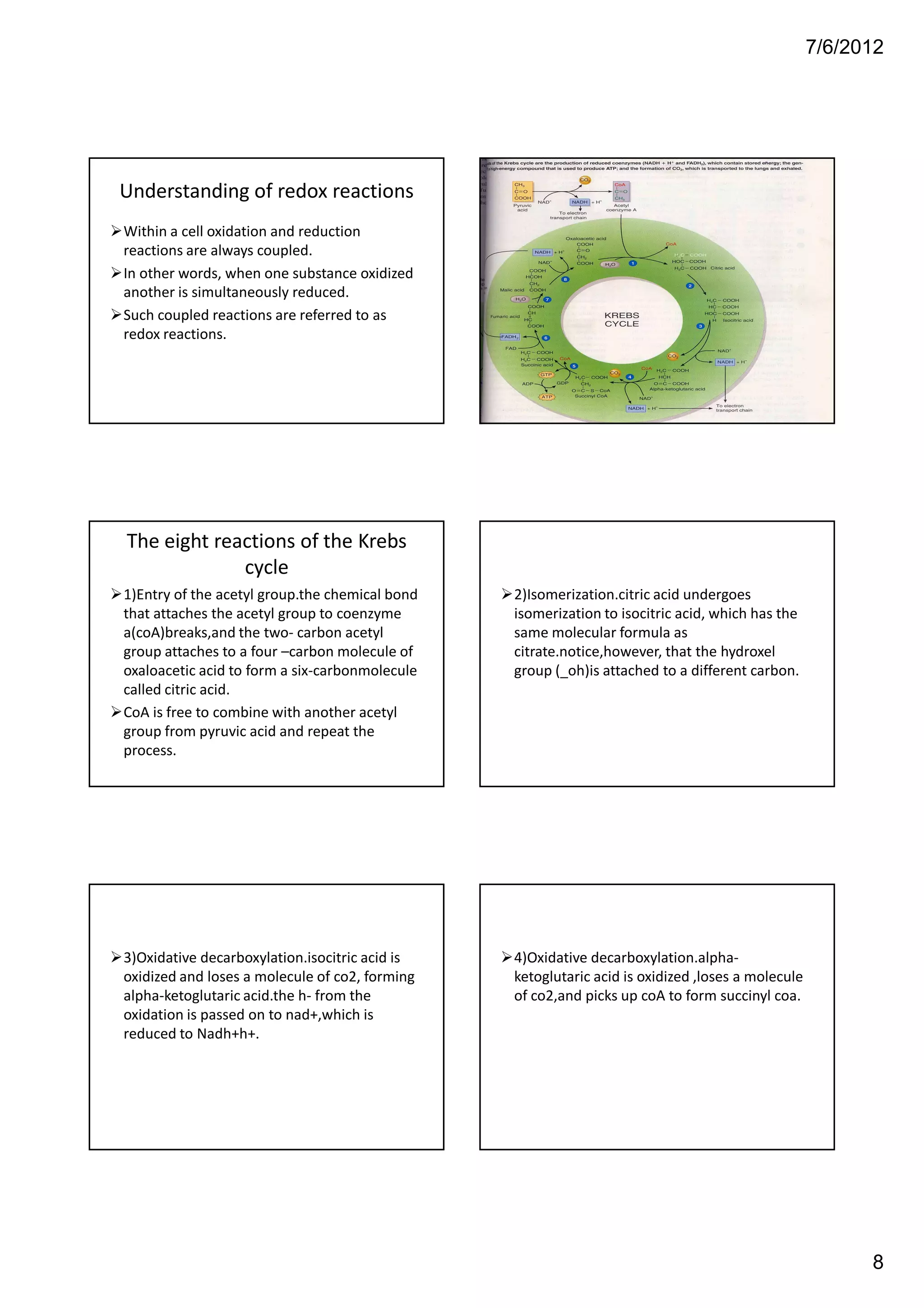 7/6/2012




Understanding of redox reactions
Within a cell oxidation and reduction
reactions are always coupled.
In other words, when one substance oxidized
another is simultaneously reduced.
Such coupled reactions are referred to as
redox reactions.




The eight reactions of the Krebs
             cycle
1)Entry of the acetyl group.the chemical bond   2)Isomerization.citric acid undergoes
that attaches the acetyl group to coenzyme      isomerization to isocitric acid, which has the
a(coA)breaks,and the two- carbon acetyl         same molecular formula as
group attaches to a four –carbon molecule of    citrate.notice,however, that the hydroxel
oxaloacetic acid to form a six-carbonmolecule   group (_oh)is attached to a different carbon.
called citric acid.
CoA is free to combine with another acetyl
group from pyruvic acid and repeat the
process.




3)Oxidative decarboxylation.isocitric acid is   4)Oxidative decarboxylation.alpha-
oxidized and loses a molecule of co2, forming   ketoglutaric acid is oxidized ,loses a molecule
alpha-ketoglutaric acid.the h- from the         of co2,and picks up coA to form succinyl coa.
oxidation is passed on to nad+,which is
reduced to Nadh+h+.




                                                                                                        8
 