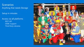 Scenarios
Anything that needs Storage
Setup in minutes
Access via all platforms
REST API
ODBC Support
Third Party Libraries
 