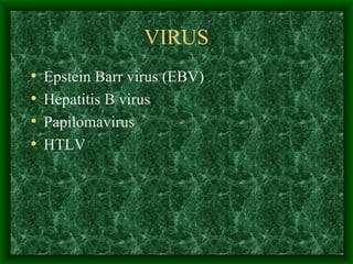 VIRUS Epstein Barr virus (EBV) Hepatitis B virus Papilomavirus HTLV 