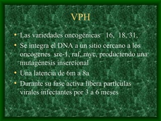 VPH Las variedades oncogénicas  16,  18, 31, Se integra el DNA a un sitio cercano a los oncogenes  src-1, raf, myc, produciendo una mutagénesis insercional  Una latencia de 6m a 8a Durante su fase activa libera partículas virales infectantes por 3 a 6 meses 
