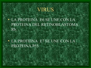 VIRUS LA PROTEINA  E6 SE UNE CON LA PROTEINA DEL RETINOBLASTOMA  Rb. LA PROTEINA  E7 SE UNE CON LA PROTEINA P53. 