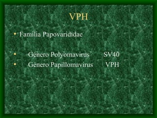 VPH Familia Papovarididae Género Polyomavirus  SV40  Género Papillomavirus  VPH  