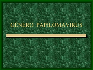 GÉNERO  PAPILOMAVIRUS 