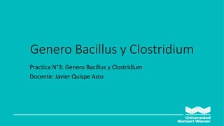 Genero Bacillus y Clostridium
Practica N°3: Genero Bacillus y Clostridium
Docente: Javier Quispe Asto
 