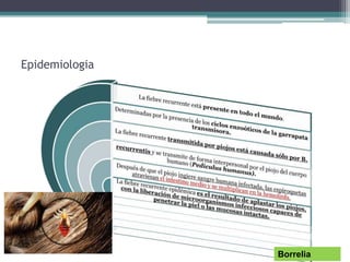 Epidemiologia
Borrelia
 
