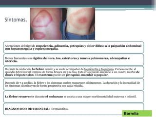 Síntomas.
Alteraciones del nivel de consciencia, adinamia, petequias y dolor difuso a la palpación abdominal
con hepatomegalia y esplenomegalia.
Menos frecuentes son rigidez de nuca, tos, estertores y roncus pulmonares, adenopatías e
ictericia.
Durante la evolución, la fiebre remite y se suele acompañar de taquicardia y taquipnea. Curiosamente, el
episodio febril inicial termina de forma brusca en 3-6 días. Esta crisis puede asociarse a un cuadro mortal de
shock e hipotensión. El exantema puede ser petequial, macular o papular.
Después de 7 a 10 días, la fiebre y los síntomas suelen reaparecer súbitamente. La duración y la intensidad de
los síntomas disminuyen de forma progresiva con cada recaída.
La fiebre recurrente durante el embarazo se asocia a una mayor morbimortalidad materna e infantil.
DIAGNOSTICO DIFERENCIAL: Dermatofitos.
Borrelia
 