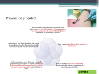 Prevención y control
Para prevenir la enfermedad la medida más
importante es evitar la picadura de garrapatas en
las zonas endémicas de enfermedad de Lyme,
sobre todo en primavera y verano.
Usar ropas claras, botas altas, guantes y
repelentes.
Uso de medidas de control ambiental
desparasitar los reservorios y el uso de
pesticidas y acaricidas.
Auto examinarse todo el cuerpo buscando
garrapatas o picaduras. Es importante retirar
de forma adecuada la garrapata si la hubiera,
con unas pinzas especiales, y desinfectar la
zona.
Administrar una dosis única de 200 mg de
doxiciclina en los dos días siguientes a la
mordedura puede evitar la enfermedad.
Borrelia
 