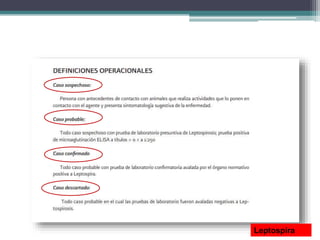 Leptospira
 