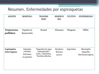 Resumen. Enfermedades por espiroquetas
AGENTE MORFOLG. TRANSMI
SION
RESERVO
RIO
CULTIVO ENFERMEDAD
Treponema
pallidum
Espiral en
Sacacorcho
Sexual Humano Ninguno Sífilis
Leptospira
interrogans
Espirales
cerradas
Extremos
en ganchos
*Ingestión de agua
contaminada,*
suelo, *alimentos,
*heridas abiertas
Roedores
Bovinos
perros
Especiales •Meningitis
•Hepatitis
•Enf hemorrágicas
 