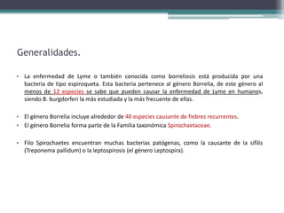 Generalidades.
• La enfermedad de Lyme o también conocida como borreliosis está producida por una
bacteria de tipo espiroqueta. Esta bacteria pertenece al género Borrelia, de este género al
menos de 12 especies se sabe que pueden causar la enfermedad de Lyme en humanos,
siendo B. burgdorferi la más estudiada y la más frecuente de ellas.
• El género Borrelia incluye alrededor de 40 especies causante de fiebres recurrentes.
• El género Borrelia forma parte de la Familia taxonómica Spirochaetaceae.
• Filo Spirochaetes encuentran muchas bacterias patógenas, como la causante de la sífilis
(Treponema pallidum) o la leptospirosis (el género Leptospira).
 