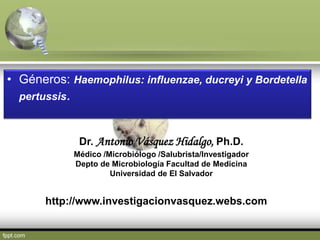 • Géneros: Haemophilus: influenzae, ducreyi y Bordetella
pertussis.
http://www.investigacionvasquez.webs.com
Dr. Antonio Vásquez Hidalgo, Ph.D.
Médico /Microbiólogo /Salubrista/Investigador
Depto de Microbiología Facultad de Medicina
Universidad de El Salvador
 