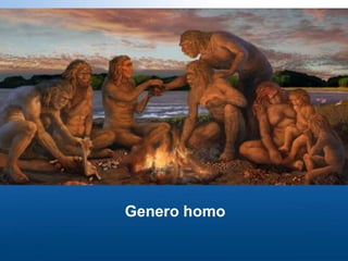 Genero homo
 