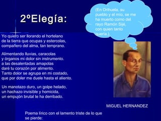 2ºElegía:2ºElegía:
(En Orihuela, su
pueblo y el mío, se me
ha muerto como del
rayo Ramón Sijé,
con quien tanto
quería.)
MIGUEL HERNANDEZ
Poema lírico con el lamento triste de lo que
se pierde:
Yo quiero ser llorando el hortelano
de la tierra que ocupas y estercolas,
compañero del alma, tan temprano.
Alimentando lluvias, caracolas
y órganos mi dolor sin instrumento.
a las desalentadas amapolas
daré tu corazón por alimento.
Tanto dolor se agrupa en mi costado,
que por doler me duele hasta el aliento.
Un manotazo duro, un golpe helado,
un hachazo invisible y homicida,
un empujón brutal te ha derribado.
 