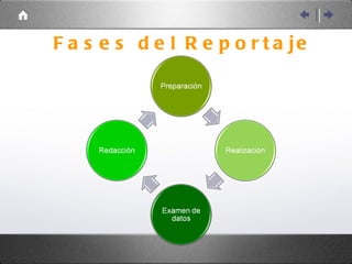 Fases del Reportaje 