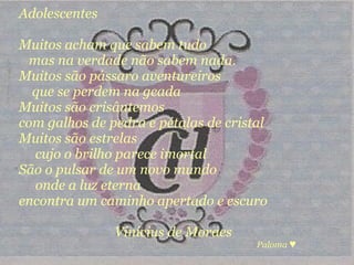 Adolescentes  Muitos acham que sabem tudo mas na verdade não sabem nada. Muitos são pássaro aventureiros que se perdem na geada Muitos são crisântemos com galhos de pedra e pétalas de cristal Muitos são estrelas cujo o brilho parece imortal São o pulsar de um novo mundo onde a luz eterna encontra um caminho apertado e escuro Vinicius de Moraes Paloma ♥ 